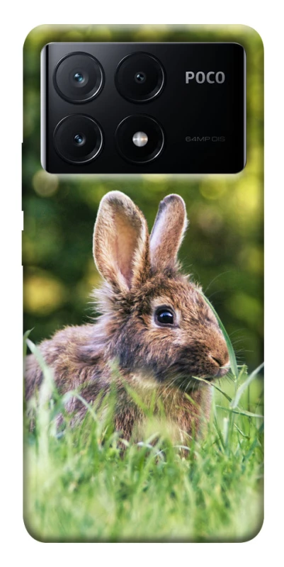 Чохол на Xiaomi Poco X6 Кролики фото 1 з 1
