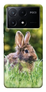 Чехол на Xiaomi Poco X6 Кролики фото 1 из 1