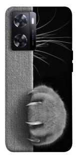 Чехол на OnePlus Nord N20 SE Spy Cat фото 1 из 1