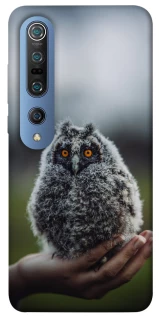 Чехол на Xiaomi Mi 10 / Mi 10 Pro Совёнок фото 1 из 1
