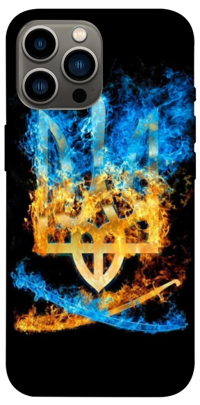 Чехол на Apple iPhone 13 Pro Max (6.7") Герб v16 фото 1 из 1