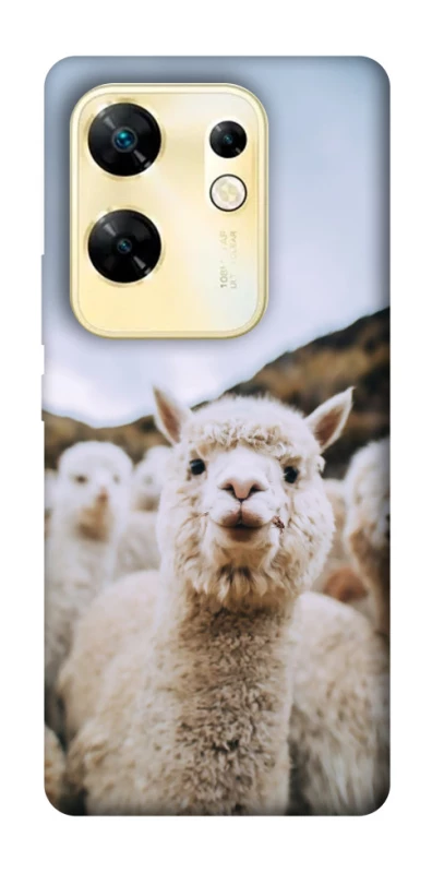 Чохол на Infinix Zero 30 4G Лама фото 1 з 1