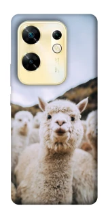 Чохол на Infinix Zero 30 4G Лама фото 1 з 1