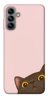 Чохол на Samsung Galaxy A04s Peeping cat фото 1 з 1