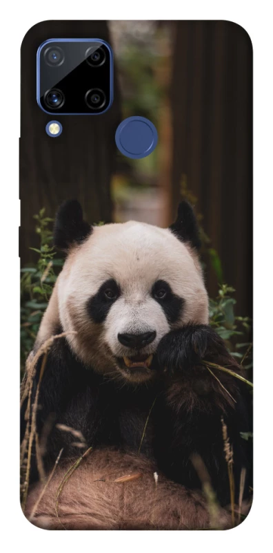 Чохол на Realme C15 Панда фото 1 з 1