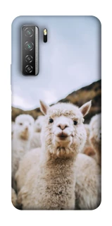 Чехол на Huawei Nova 7 SE Лама фото 1 из 1
