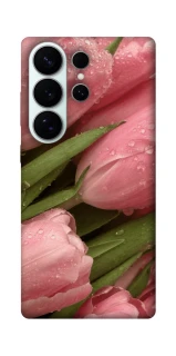 Чохол на Samsung Galaxy S26 Beauty фото 1 з 1