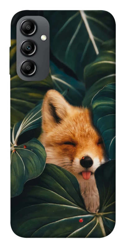 Чохол на Samsung Galaxy A14 4G/5G Fox фото 1 з 1