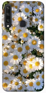 Чохол на Huawei Y6p Поле ромашок фото 1 з 1