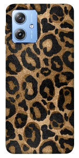 Чохол на Motorola Moto G84 Leopard Skin фото 1 з 1