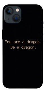 Чохол на Apple iPhone 13 (6.1") House of the Dragon ver.9 фото 1 з 1