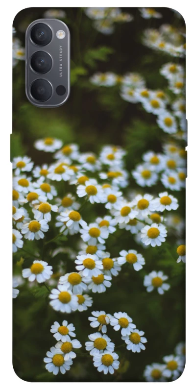 Чехол на Oppo Reno 4 Ромашки v13 фото 1 из 1