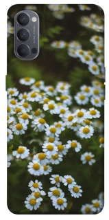 Чехол на Oppo Reno 4 Ромашки v13 фото 1 из 1
