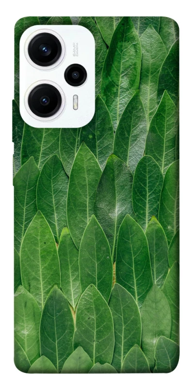 Чохол на Xiaomi Poco F5 / Note 12 Turbo Листя фото 1 з 1