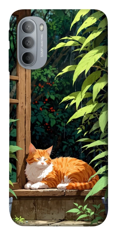 Чохол на Motorola Moto G31 red cat фото 1 з 1