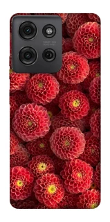 Чехол на Motorola Moto G75 Midnight1 фото 1 из 1