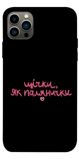 Чохол на Apple iPhone 12 Pro (6.1") Щічки, як палянички фото 1 з 1