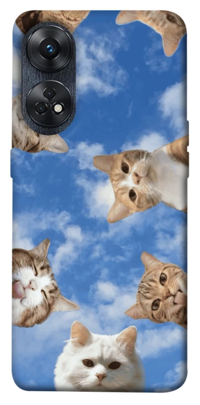 Чохол на Oppo Reno 8T 4G Сats фото 1 з 1