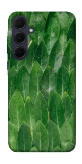 Чохол на Samsung Galaxy A35 Листя фото 1 з 1