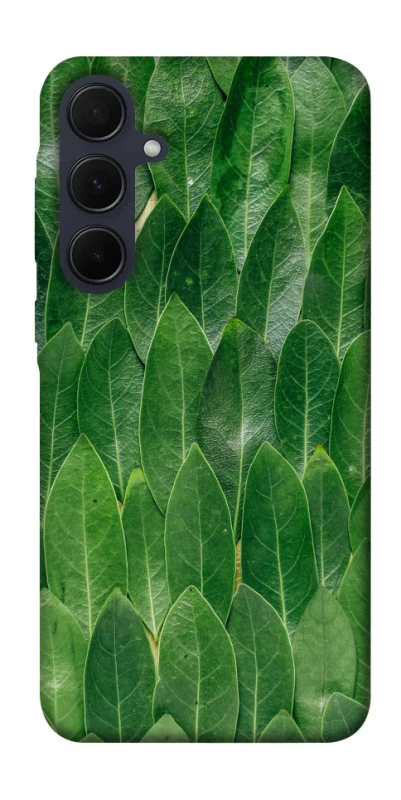 Чохол на Samsung Galaxy A55 Листя фото 1 з 1