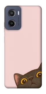 Чохол на Motorola Moto E15 Peeping cat фото 1 з 1