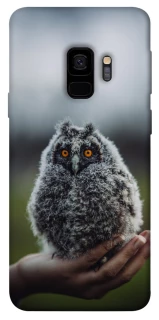 Чохол на Samsung Galaxy S9 Совеня фото 1 з 1