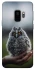 Чохол на Samsung Galaxy S9 Совеня фото 1 з 1