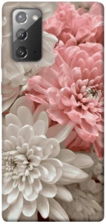 Чехол на Samsung Galaxy Note 20 Spring flow фото 1 из 1