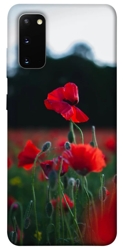 Чехол на Samsung Galaxy S20 Мак фото 1 из 1