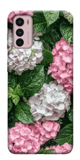 Чехол на Motorola Moto G42 Secret Garden фото 1 из 1