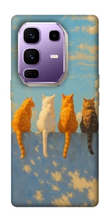 Чехол на Infinix Note 50 Pro+ cats on wall фото 1 Чехол на Infinix Note 50 Pro+ cats on wall фото 1 из 1
