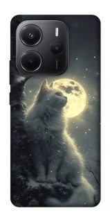Чехол на Xiaomi Redmi Note 14 4G (Int. version) Кот под луной фото 1 из 1