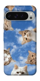 Чохол на Google Pixel 9 Pro XL Сats фото 1 з 1