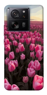 Чехол на Xiaomi 13T Spring Awakening фото 1 из 1