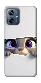 Чехол на Motorola Moto G54 Power Zootopia фото 1 из 1