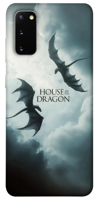 Чехол на Samsung Galaxy S20 House of the Dragon ver.5 фото 1 из 1