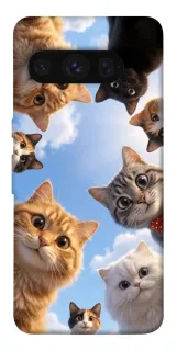 Чехол на Google Pixel 8 Pro Cats фото 1 из 1