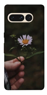 Чехол на Google Pixel 7 Pro Ромашка v4 фото 1 из 1