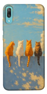 Чехол на Huawei Y6 Pro (2019) cats on wall фото 1 из 1