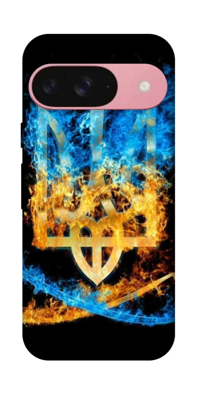 Чехол на Google Pixel 9 Герб v16 фото 1 из 1