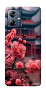 Чохол на Motorola Moto G54 Power Flowers v29 фото 1 з 1