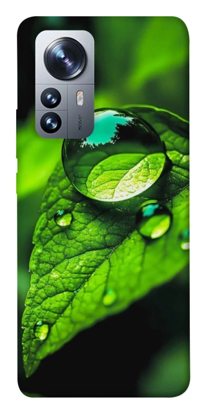 Чохол на Xiaomi 12 / 12X Flowers v16 фото 1 з 1