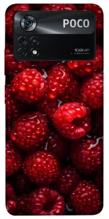 Чехол на Xiaomi Poco X4 Pro 5G Малинка фото 1 из 1