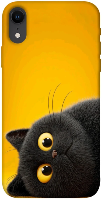 Чохол на Apple iPhone XR (6.1") This is Cat фото 1 з 1