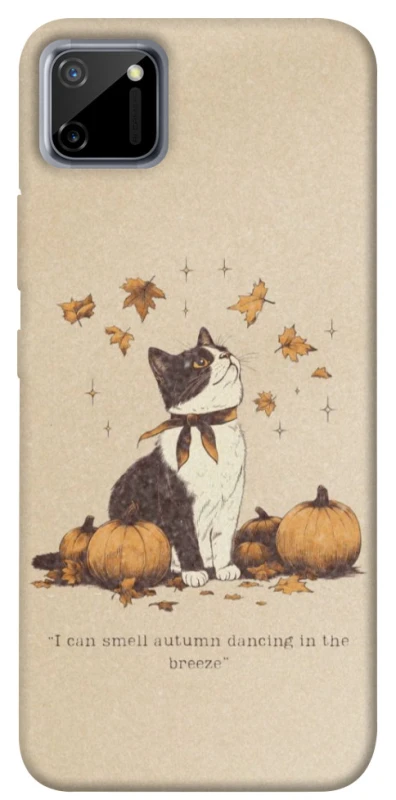 Чохол на Realme C11 Autumn vibes ver.3 фото 1 з 1