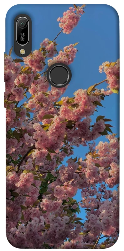 Чехол на Huawei Y6 (2019) Flowers v4 фото 1 из 1