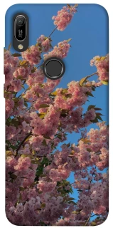 Чехол на Huawei Y6 (2019) Flowers v4 фото 1 из 1