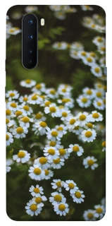 Чехол на OnePlus Nord Ромашки v13 фото 1 из 1