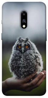 Чехол на OnePlus 7 Совёнок фото 1 из 1