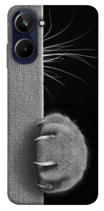 Чохол на Realme 10 4G Spy Cat фото 1 з 1